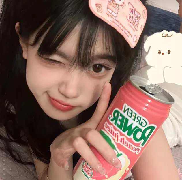 飙速宅男第五季